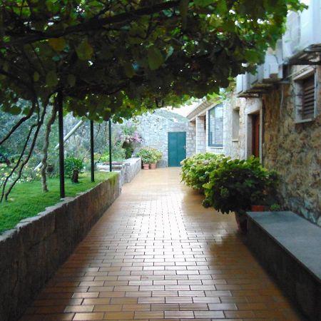 Villa Jelka Apartment Zaton  Exterior foto